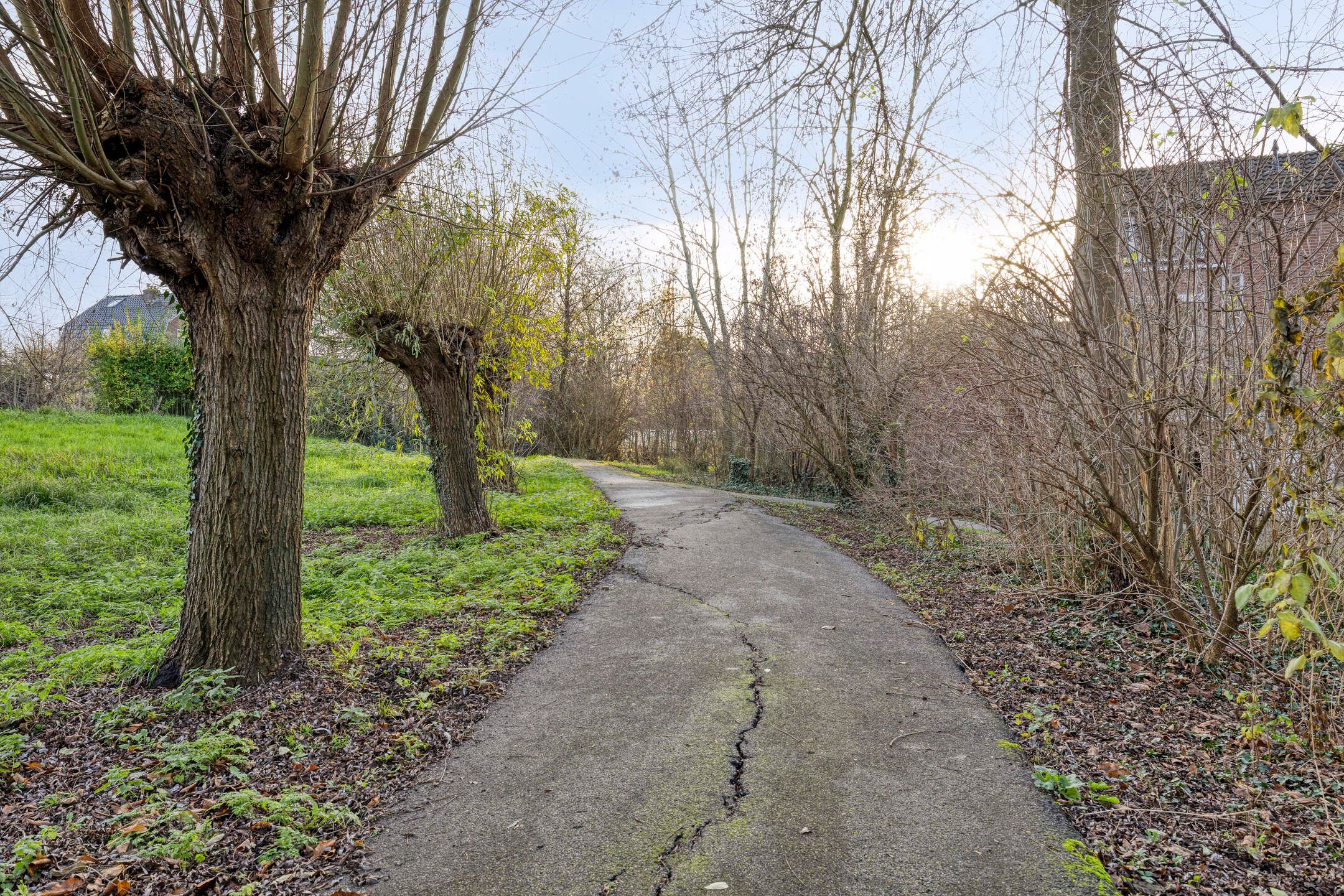 Foto 48 van Koolzaadakker 13