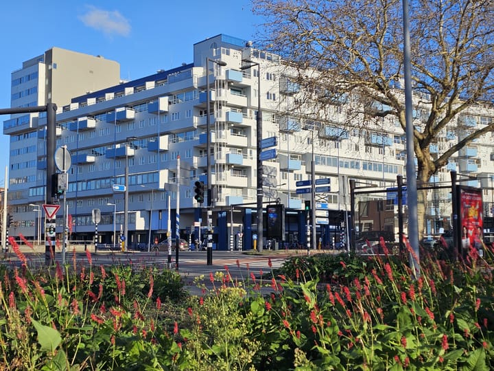 Photo 2 of Weena 1157