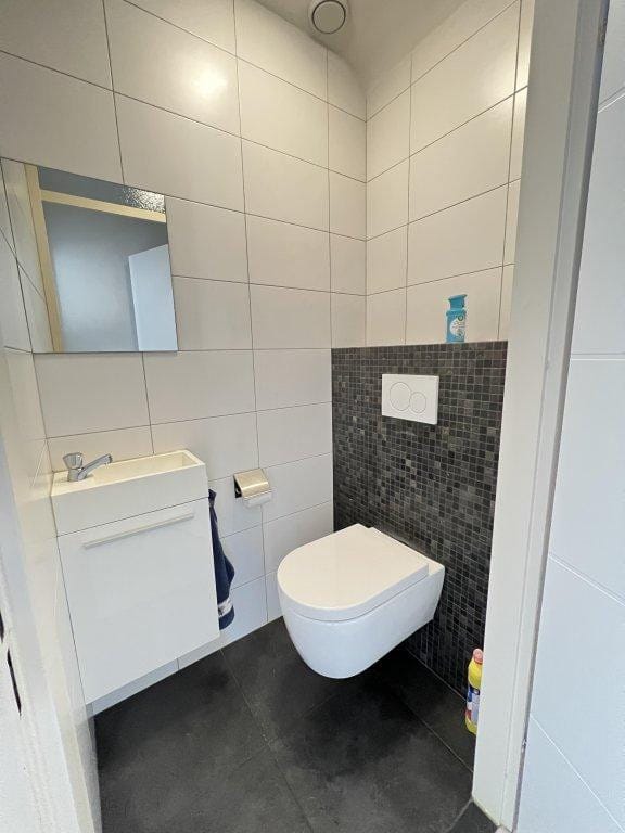 Foto 28 van Steenmarter 3