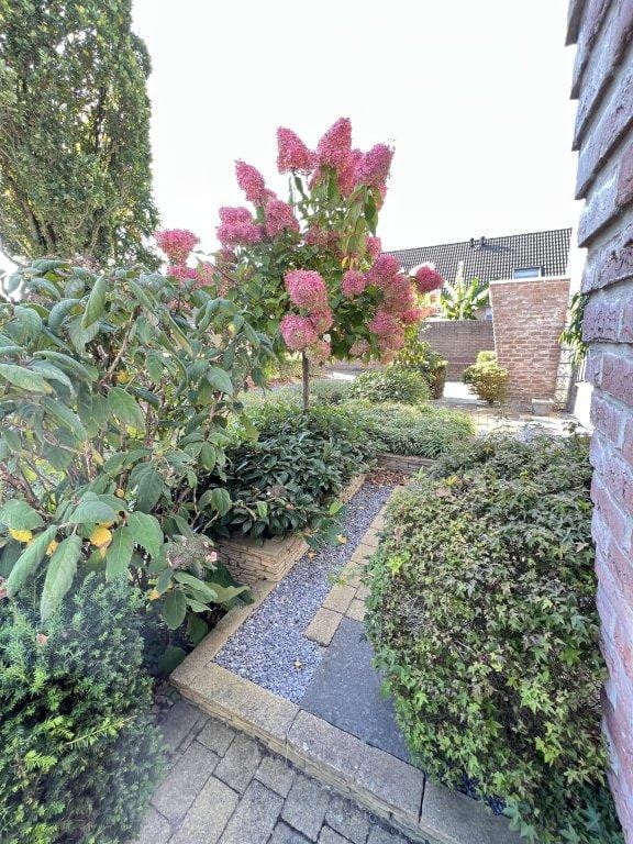 Foto 15 van Steenmarter 3