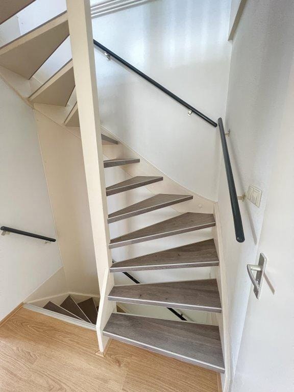 Foto 31 van Steenmarter 3