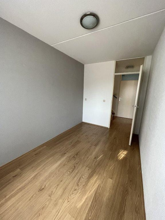 Foto 25 van Steenmarter 3