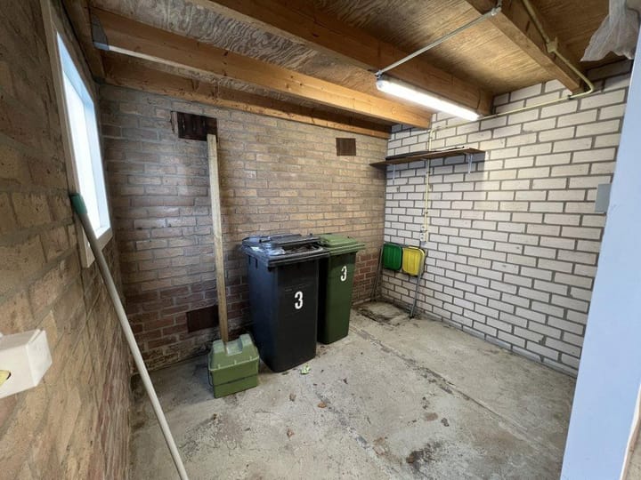 Foto 17 van Steenmarter 3