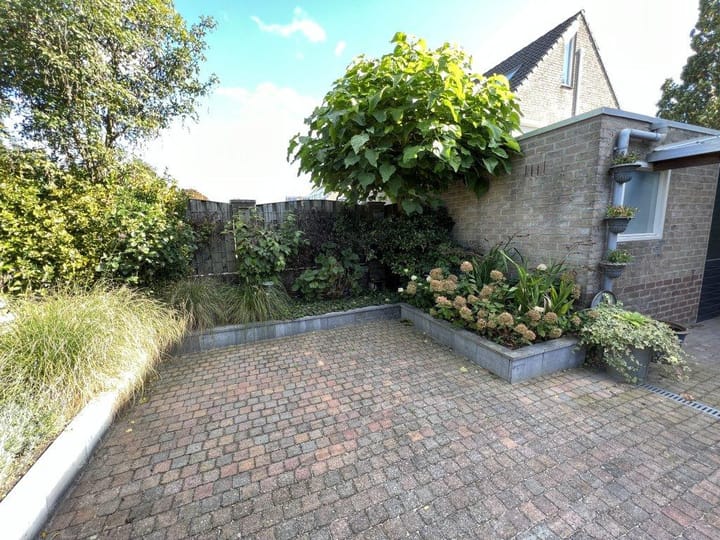 Foto 12 van Steenmarter 3