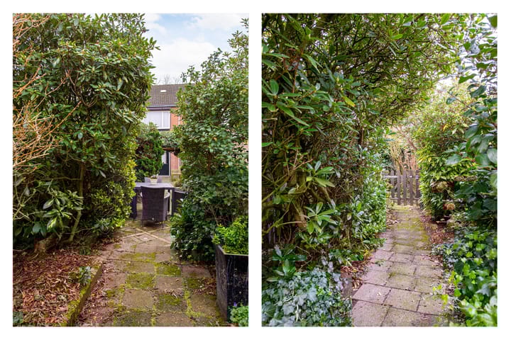 Foto 26 van Markiezenstraat 6