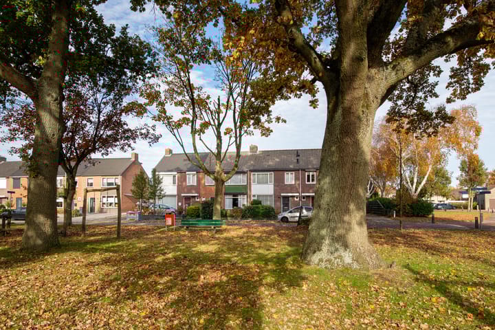 Foto 30 van Markiezenstraat 6