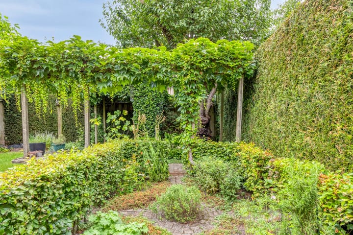 Foto 47 van Munnikenakker 22