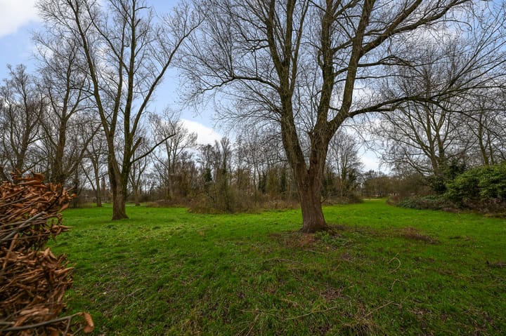 Foto 36 van Galjoenstraat 119