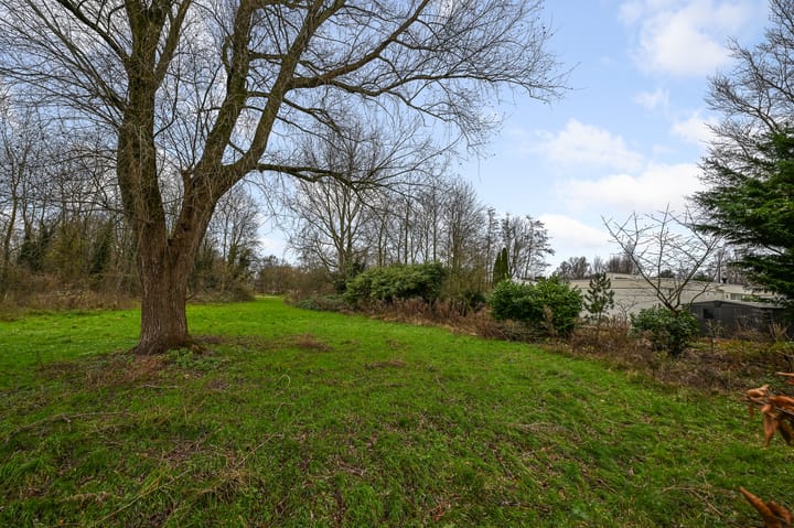 Foto 37 van Galjoenstraat 119