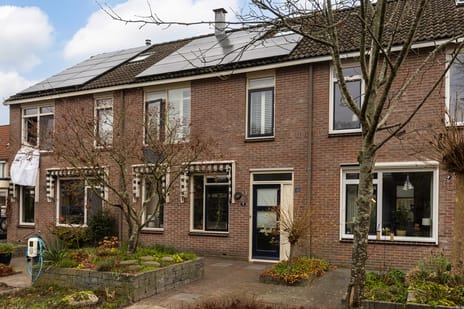 undefined main image