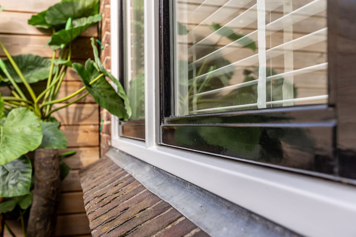 Foto 50 van Olivier van Noortplein 19