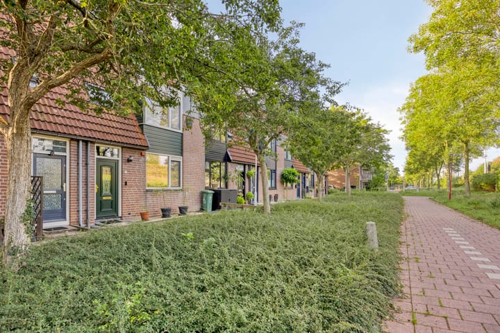 Foto 5 van Peterselieakker 4