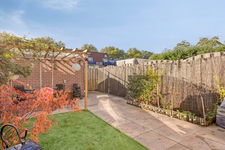 Foto 28 van Peterselieakker 4