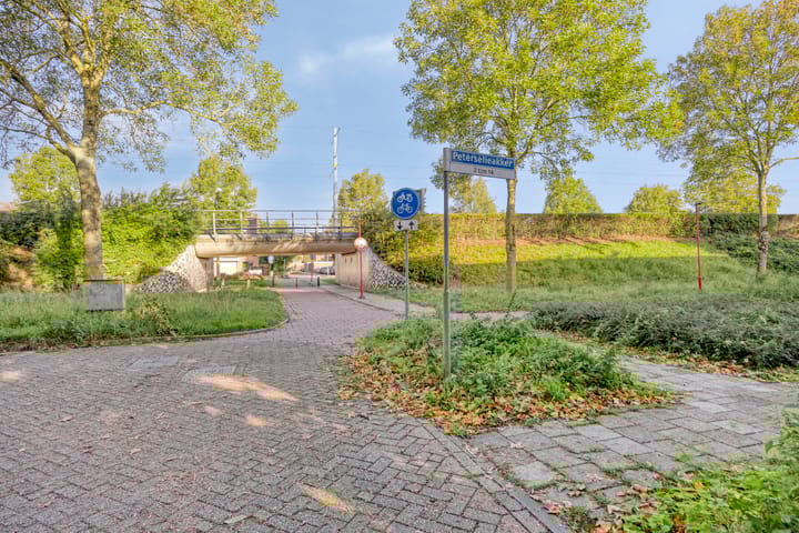 Foto 31 van Peterselieakker 4