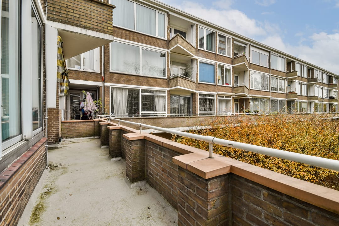 Photo 13 of Meander 245