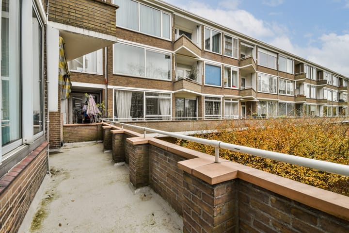 Foto 13 van Meander 245