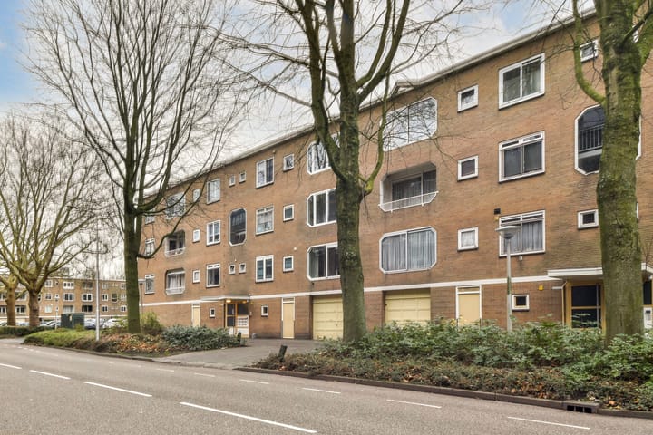 Foto 15 van Meander 245