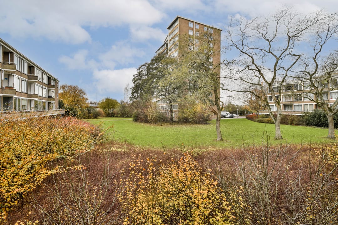 Photo 16 of Meander 245