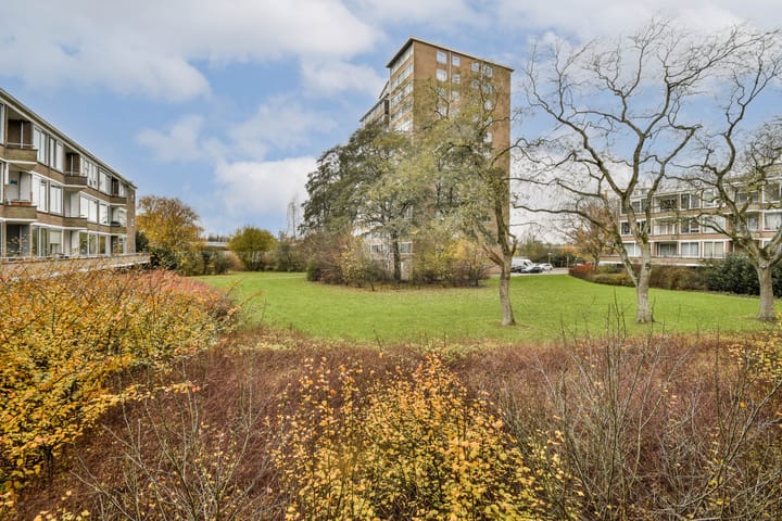 Foto 16 van Meander 245