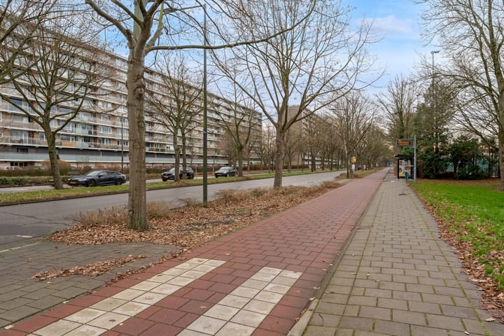 Foto 5 van Holysingel 512