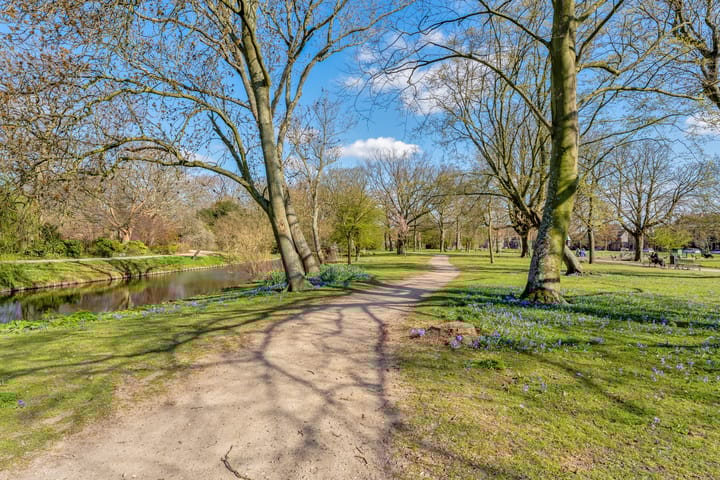 Foto 25 van Holysingel 512