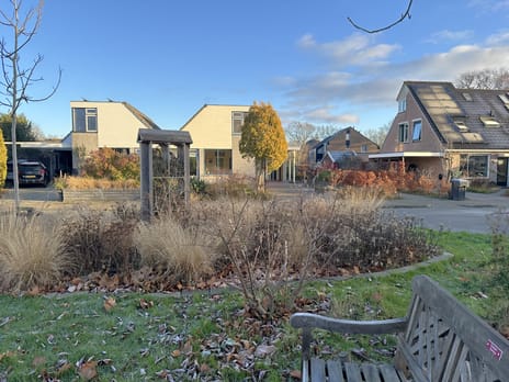 Pinksterbloem 24 secondary image