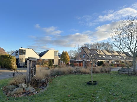 Pinksterbloem 24 tertiary image