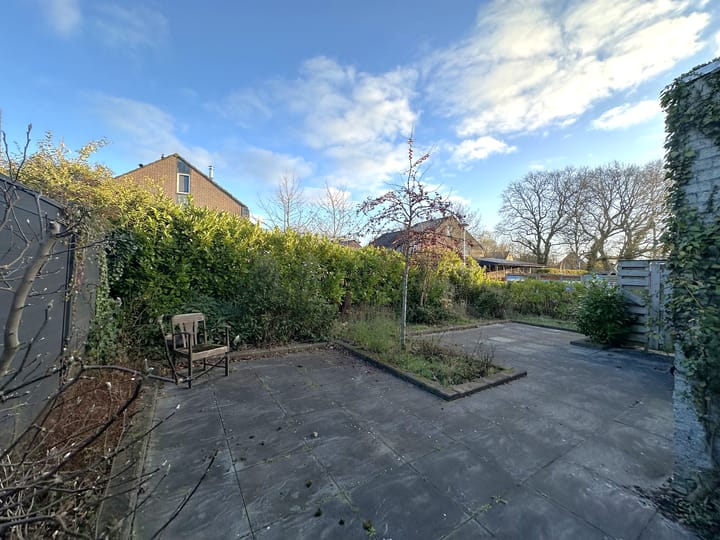 Photo 17 of Pinksterbloem 24