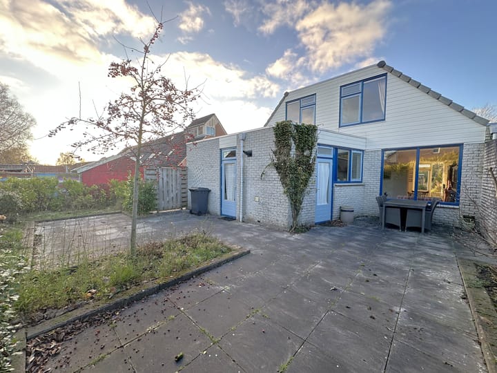 Photo 31 of Pinksterbloem 24