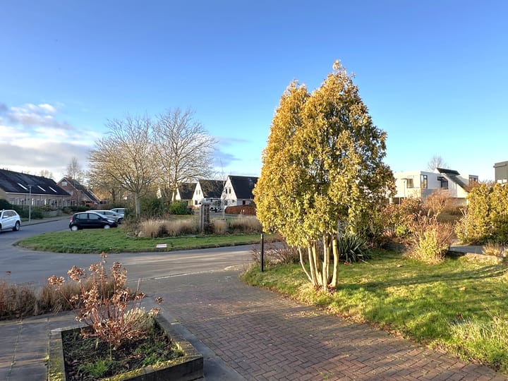 Photo 6 of Pinksterbloem 24