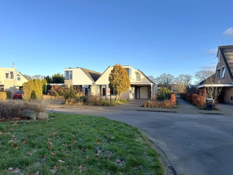 Pinksterbloem thumbnail