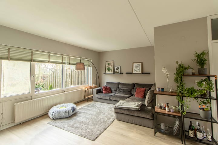 Foto 23 van Karveel 34 48