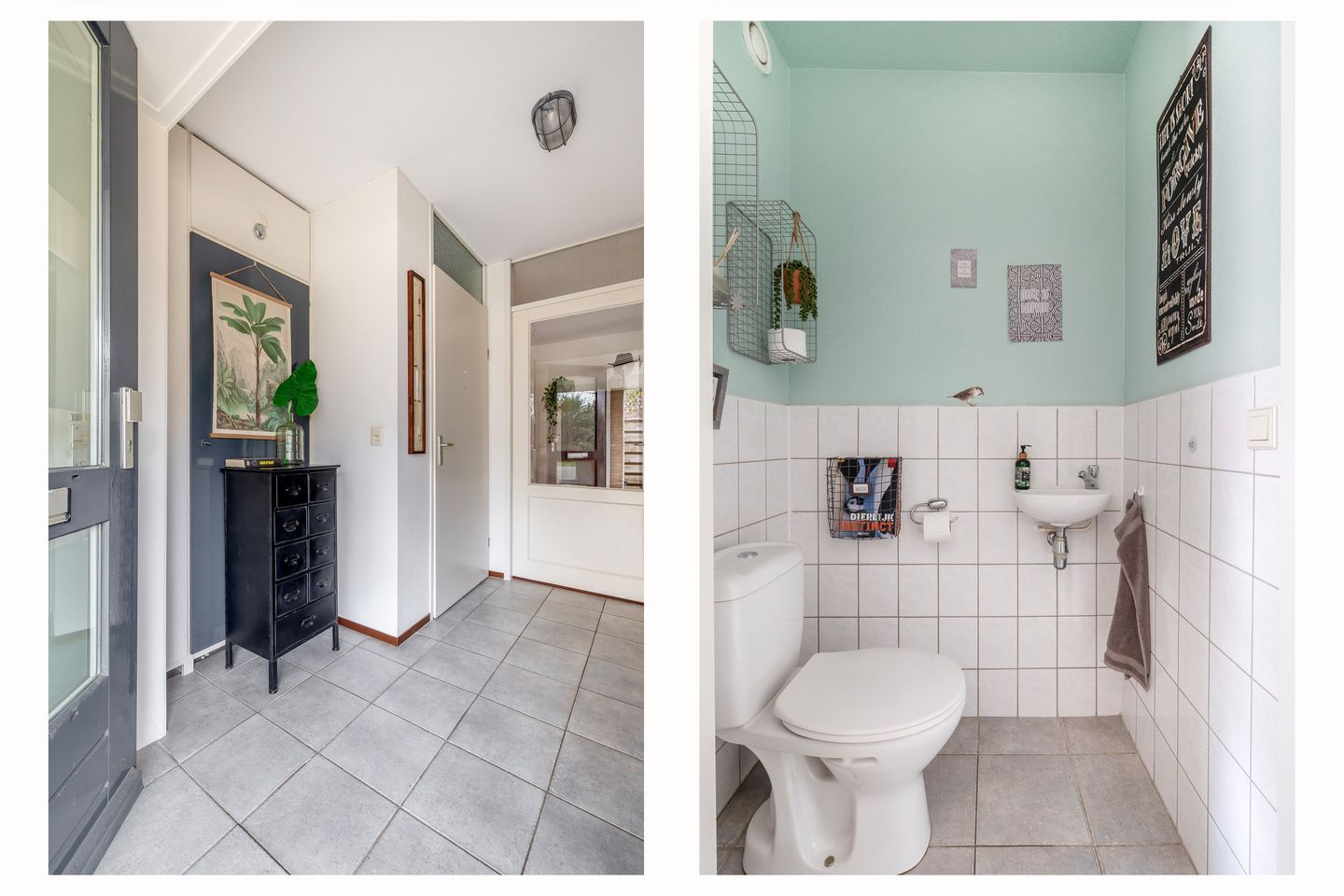 Foto 5 van Van der Ploegstrjitte 50