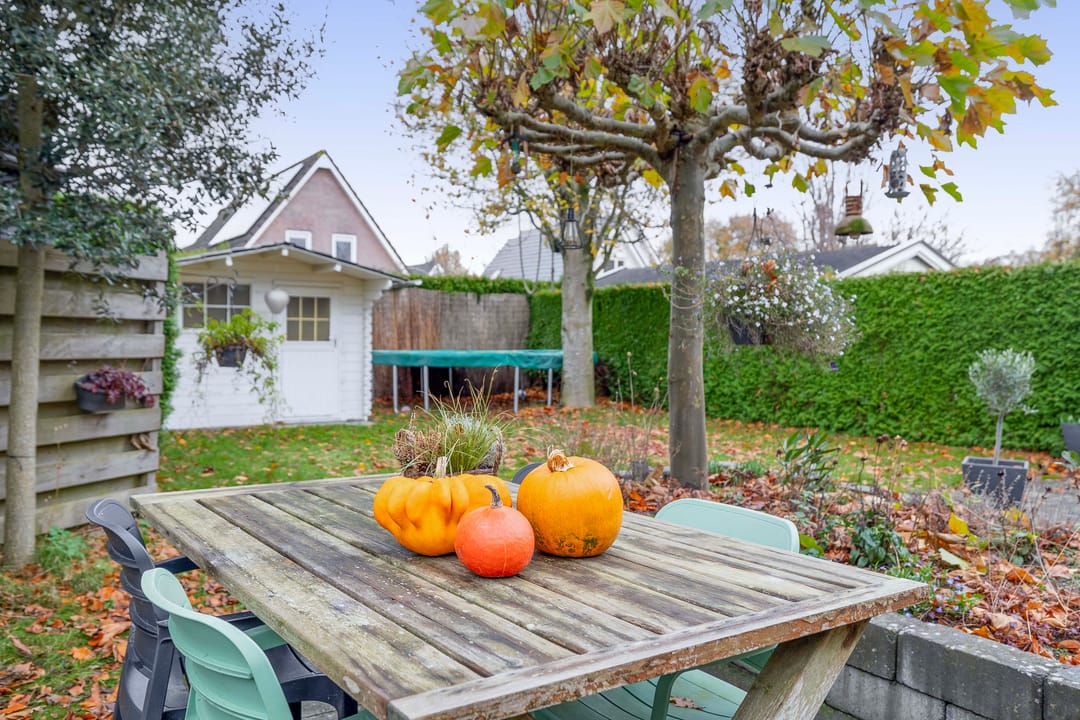 Foto 37 van Van der Ploegstrjitte 50