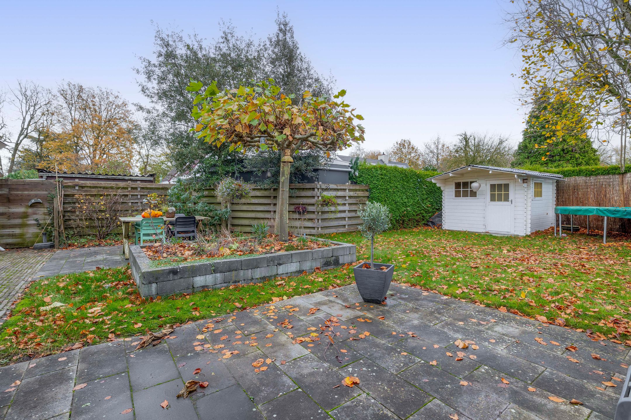 Foto 39 van Van der Ploegstrjitte 50