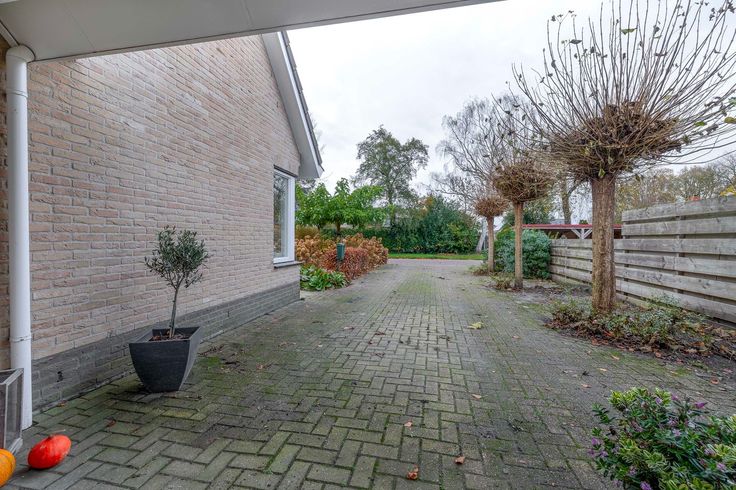 Foto 40 van Van der Ploegstrjitte 50