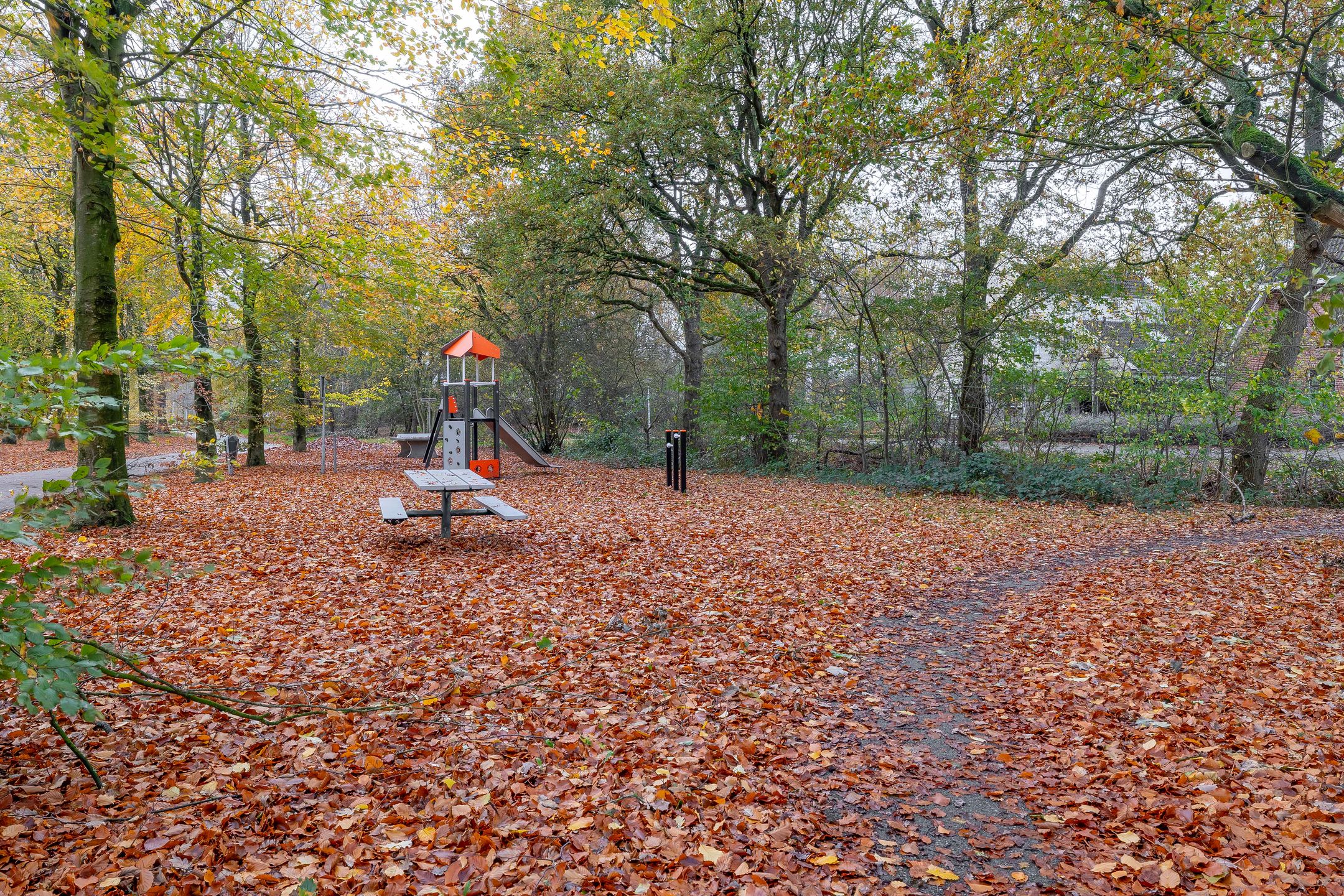 Foto 45 van Van der Ploegstrjitte 50