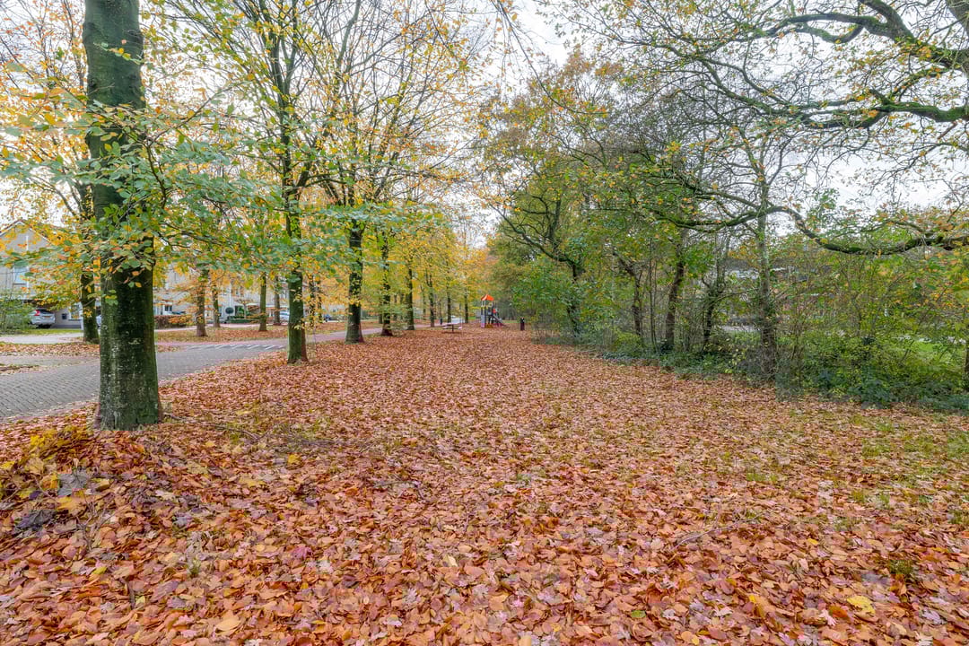 Foto 46 van Van der Ploegstrjitte 50