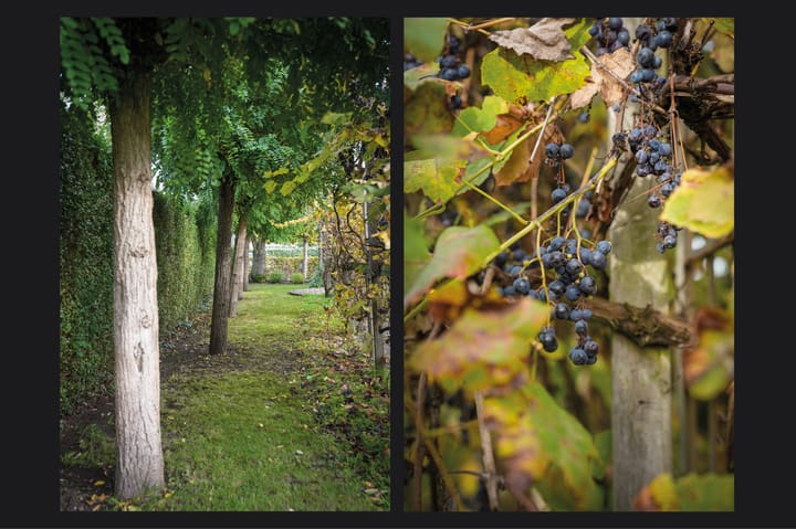 Foto 34 van Zuivelweg 14