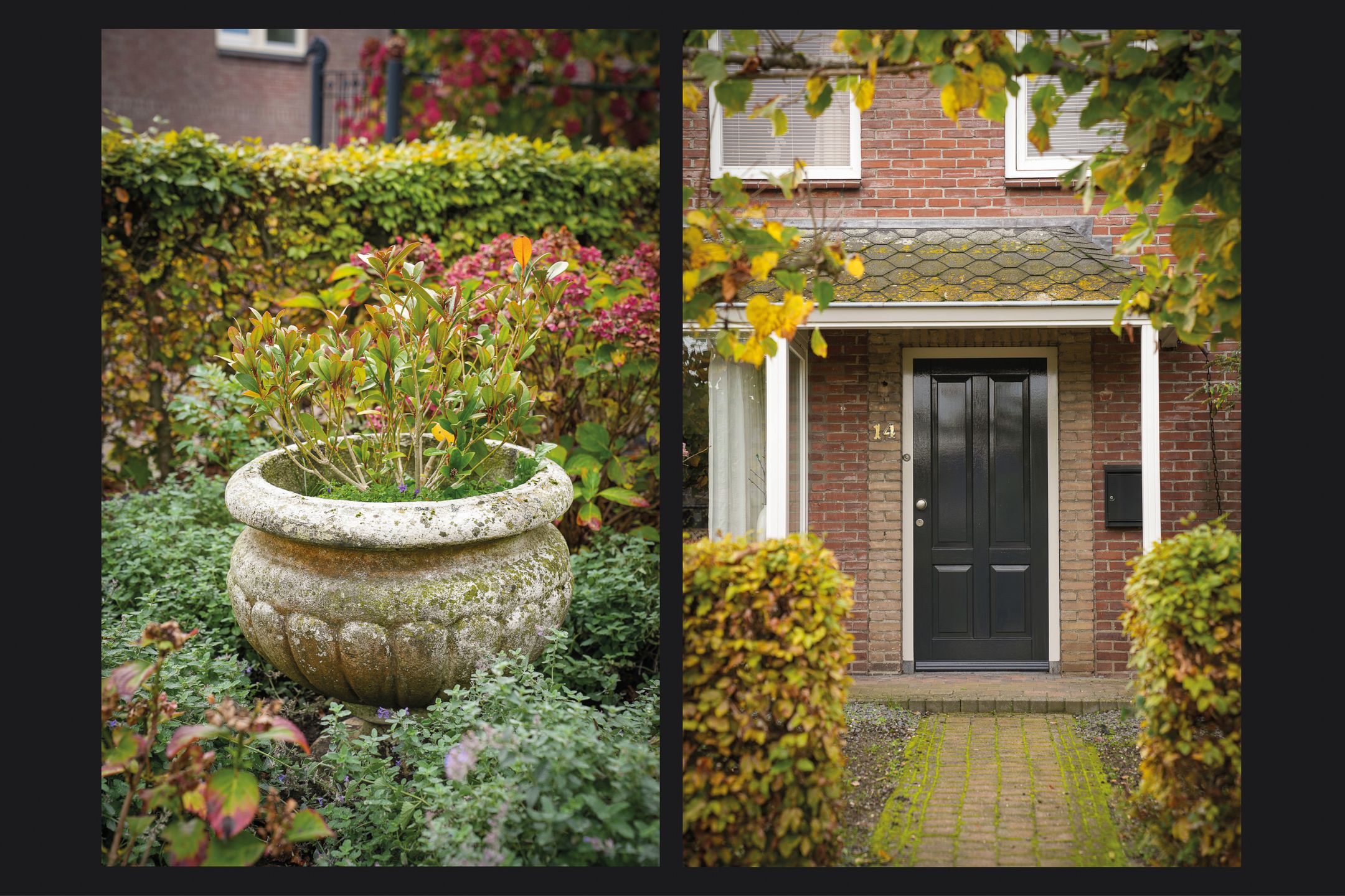 Photo 39 of Zuivelweg 14