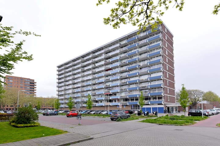 Margijnenenk 229