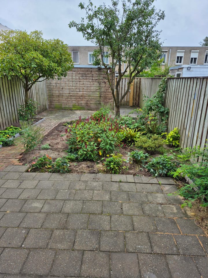 Foto 20 van Rigoletto 19