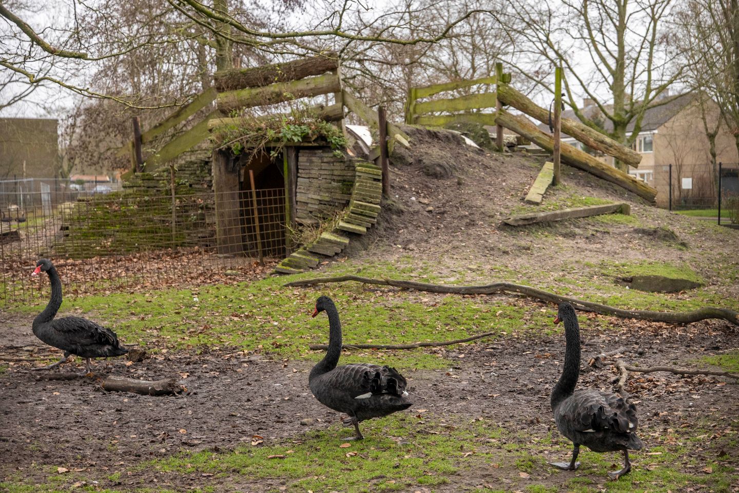 Foto 4 van De Dellen 39-A