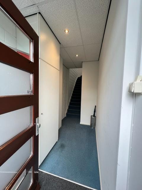 Bekijk foto 4 van Willem Dreeslaan 223