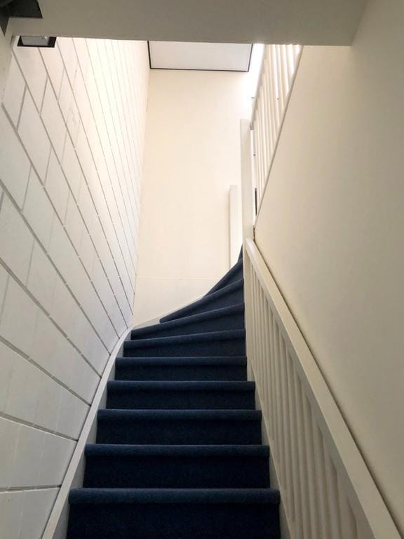 Bekijk foto 5 van Willem Dreeslaan 223