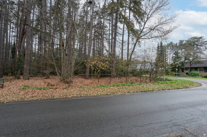 Foto 5 van Roerdomplaan 1