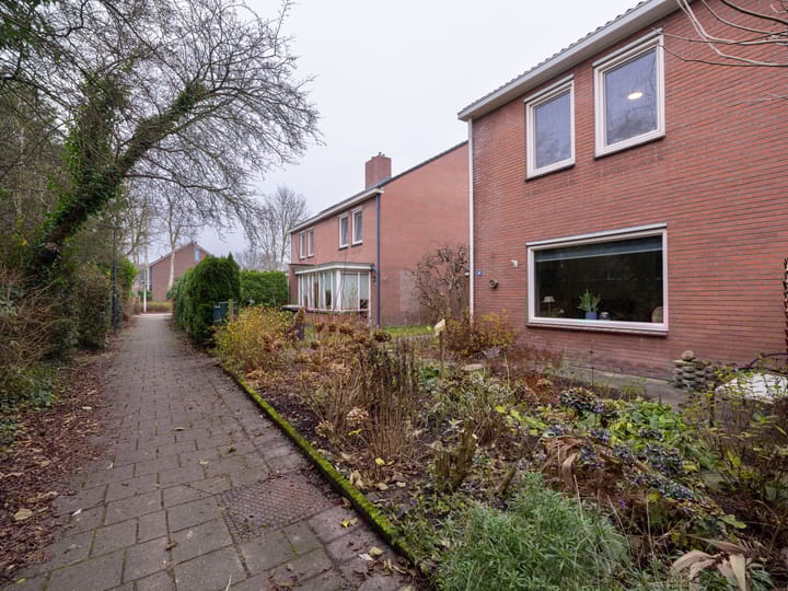 Foto 4 van Moezel 45