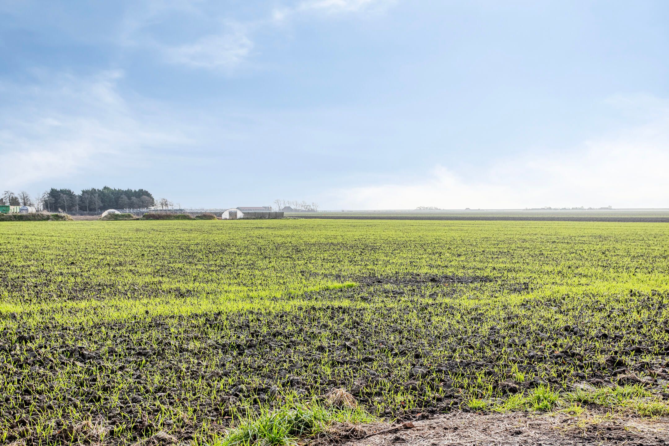 Foto 48 van 't Laantje 1