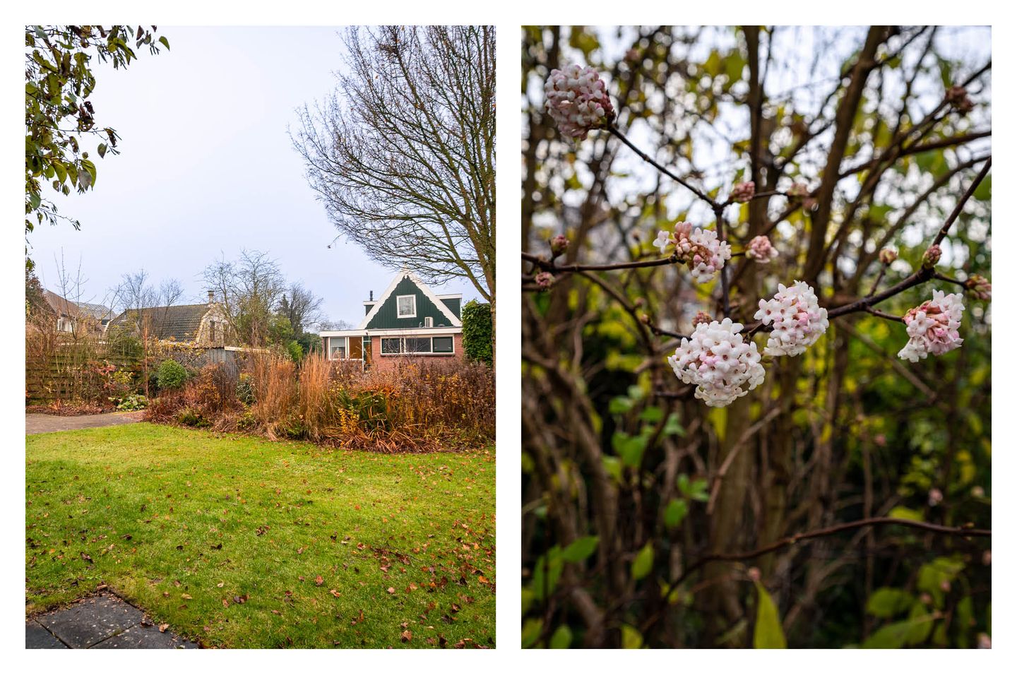 Foto 40 van Zwarteweg 7