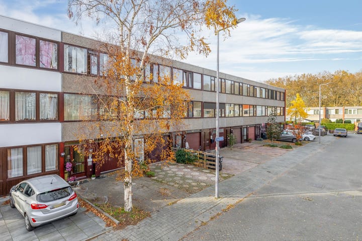 Foto 7 van Vuurdoorn 6